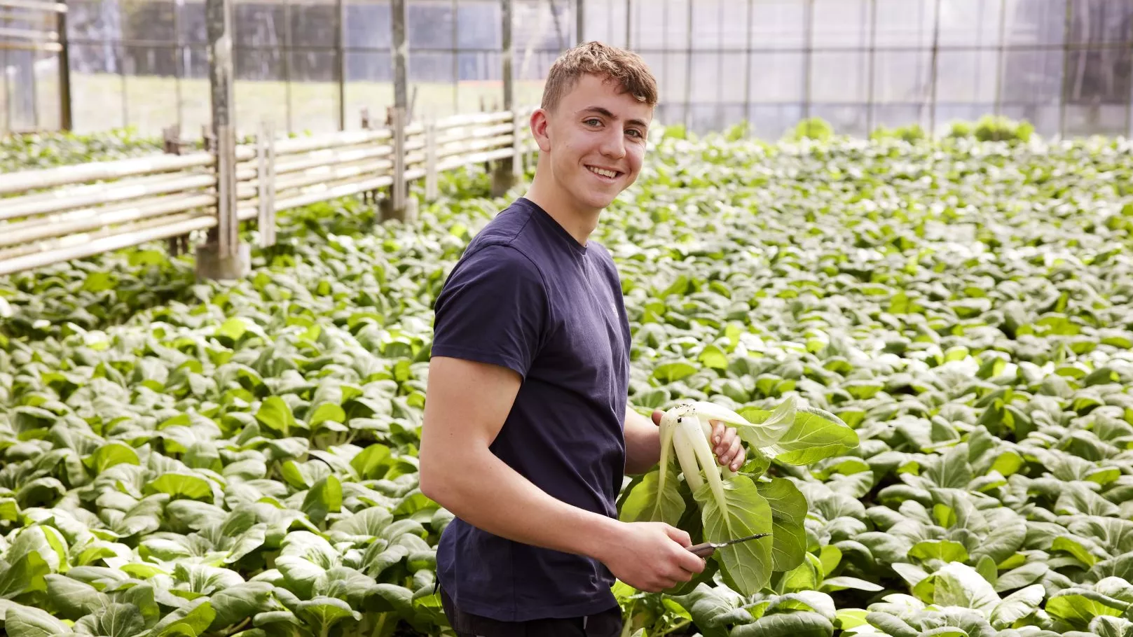 Vitale tuinbouwmedewerker in een kas aan het werk vitaliteit medewerkers