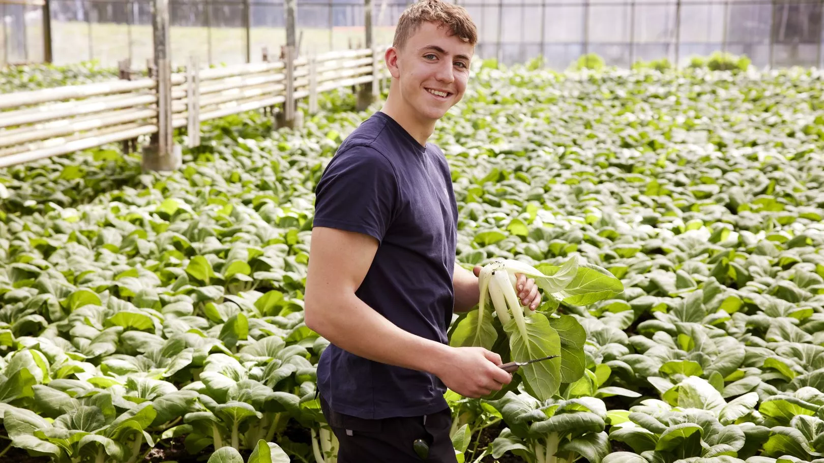 Vitale tuinbouwmedewerker in een kas aan het werk vitaliteit medewerkers