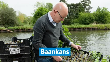 Foto van Antal Beck, werkzaam bij Solar Sedum