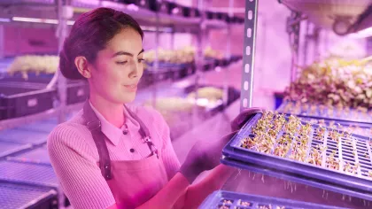 Een vrouw is aan het werk in een kas met roze licht, werkzaamheden die vallen onder de kansrijke beroepen