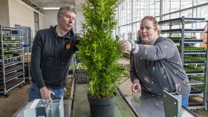 Een man van middelbare leeftijd en een jonge vrouw controleren samen een plant in een kwekerij.. 