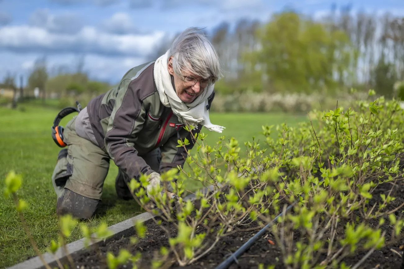 Portret van Janny Smeenge, zij vertelt over haar overstap naar hovenier