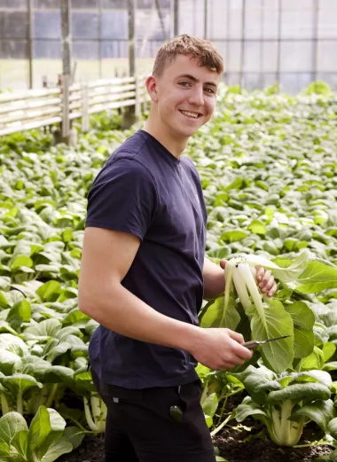 Vitale tuinbouwmedewerker in een kas aan het werk vitaliteit medewerkers